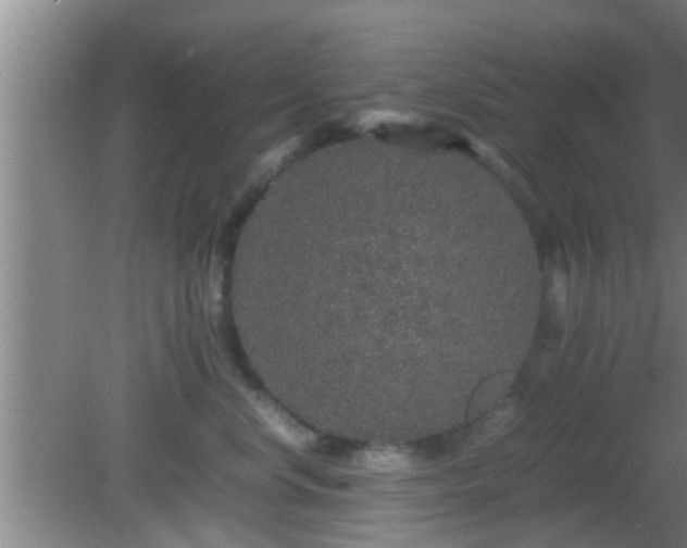 X0000081610668200701221204