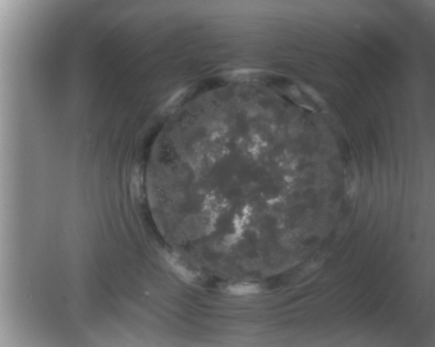 X0000081610669200701221204