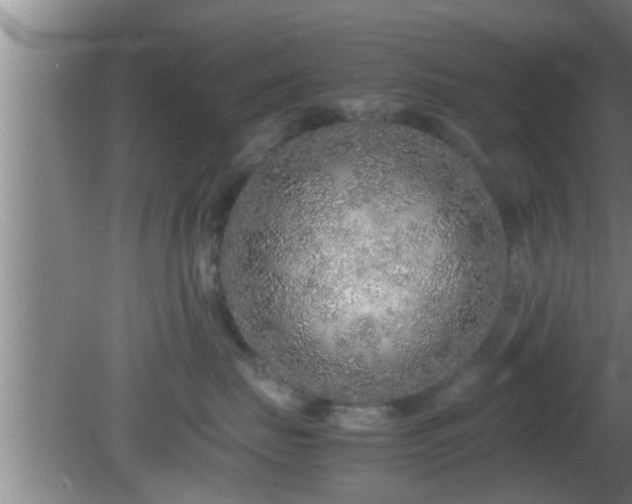 X0000081610671200701221204