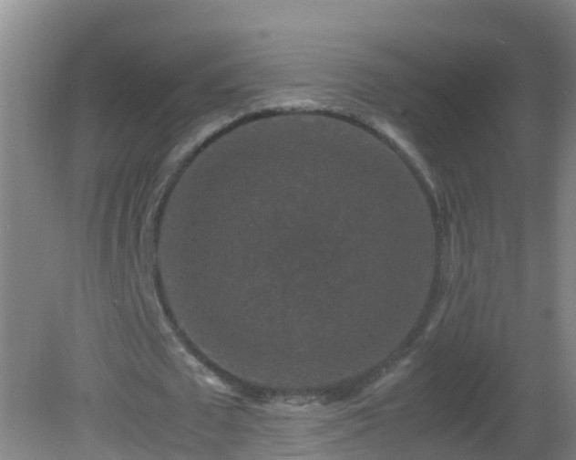 X0000081610673200701221203