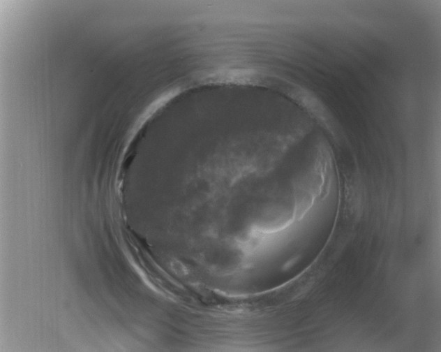 X0000081610674200701221203