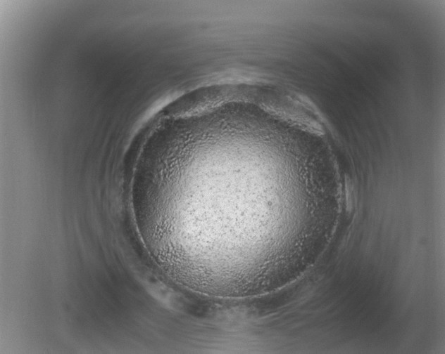 X0000081610675200701221203