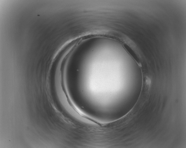 X0000081610676200701221203