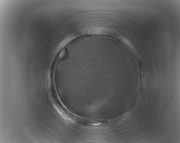 X0000081610678200701221203