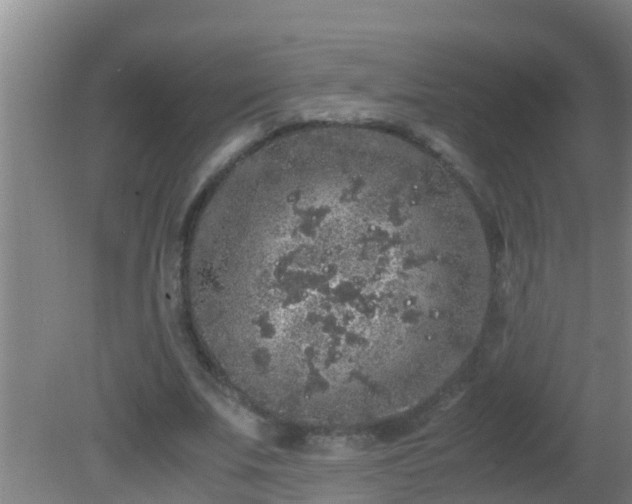 X0000081610679200701221203