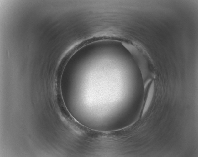 X0000081610680200701221203