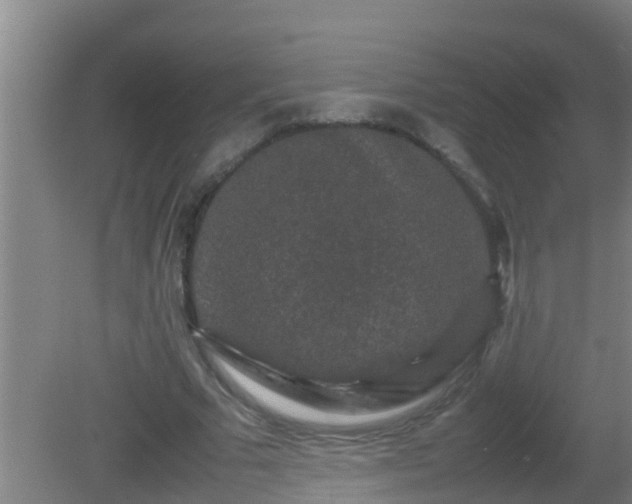 X0000081610681200701221203