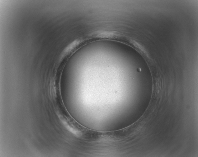 X0000081610682200701221203