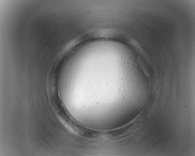 X0000081610683200701221203