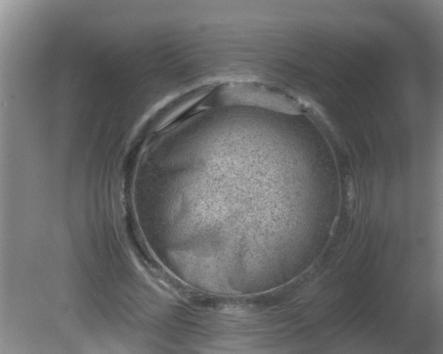 X0000081610684200701221203