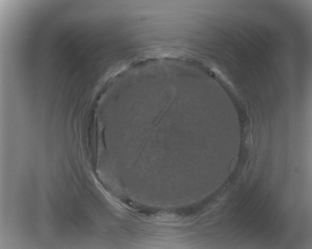 X0000081610685200701221203