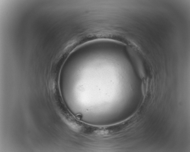 X0000081610687200701221203