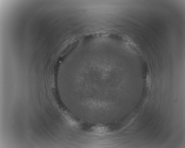 X0000081610689200701221203