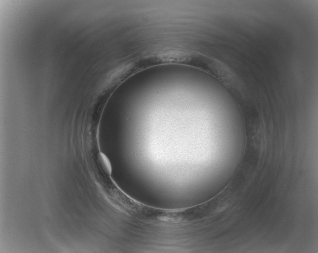 X0000081610690200701221203