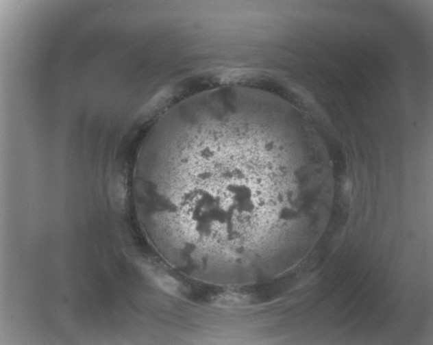 X0000081610691200701221202