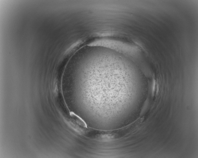 X0000081610692200701221202