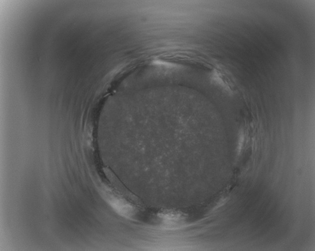 X0000081610693200701221202