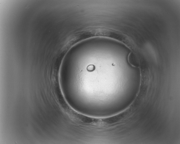 X0000081610695200701221202