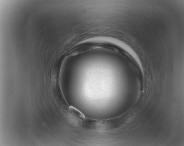 X0000081610697200701221202