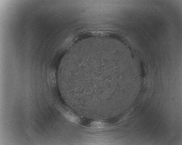 X0000081610699200701221202