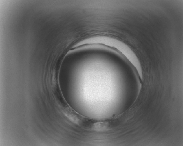 X0000081610700200701221202