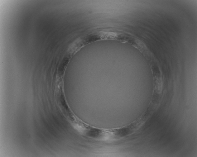 X0000081610701200701221202