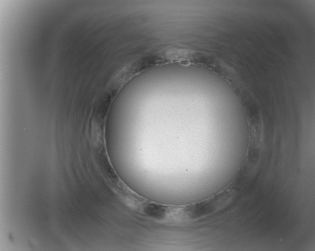 X0000081610705200701221202