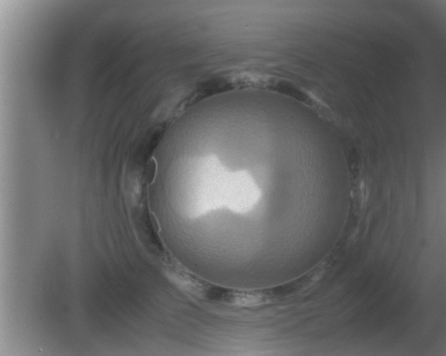 X0000081610709200701221202