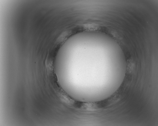 X0000081610713200701221202