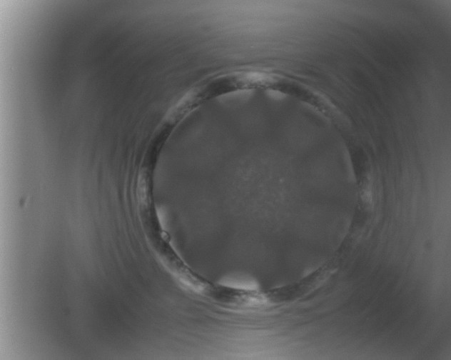 X0000081610715200701221202