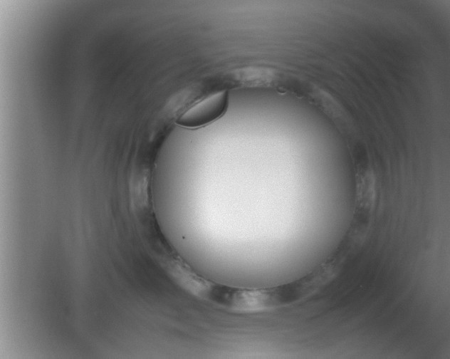 X0000081610717200701221202