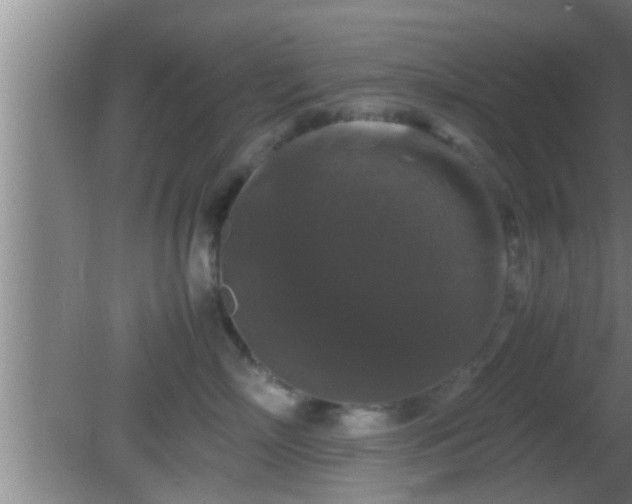 X0000081610718200701221202