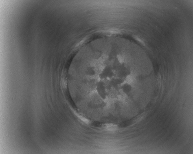 X0000081610719200701221202