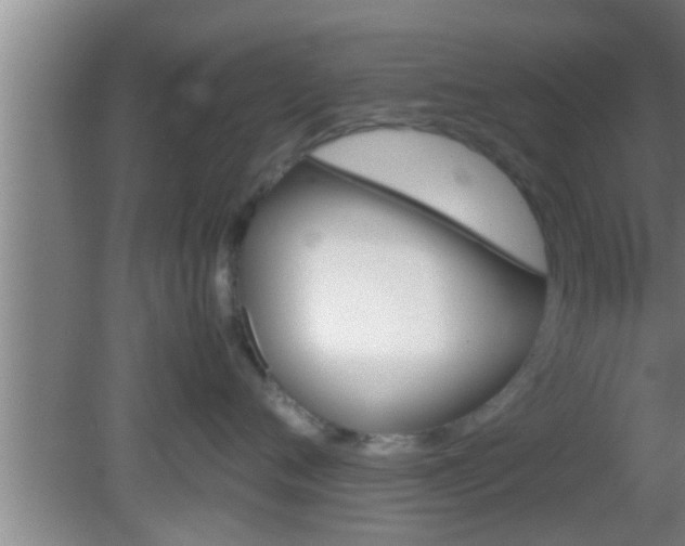 X0000081610720200701221202