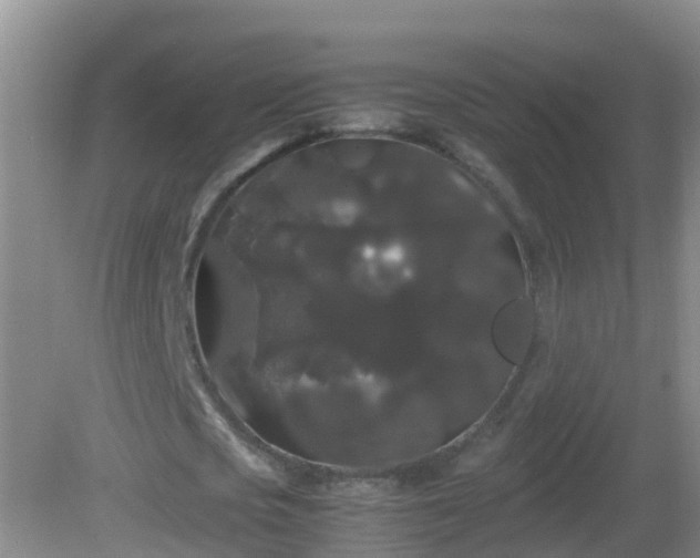 X0000081610721200701221201