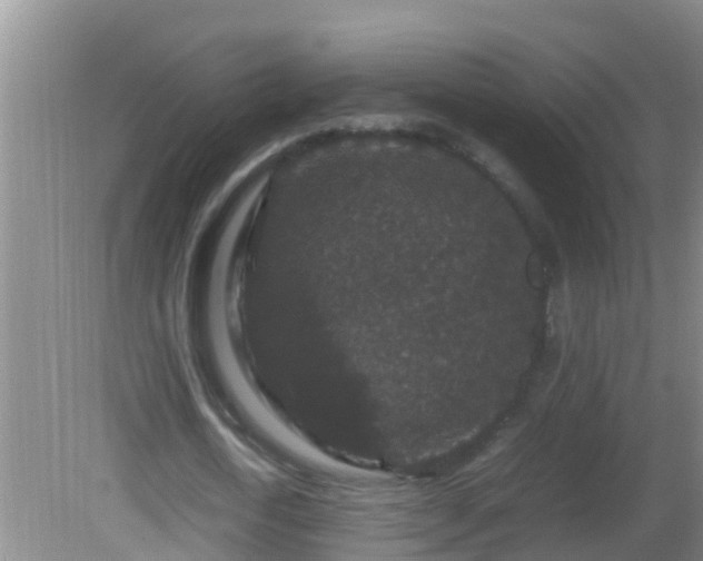 X0000081610722200701221201