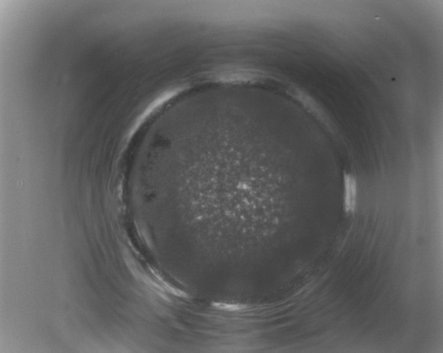 X0000081610723200701221201