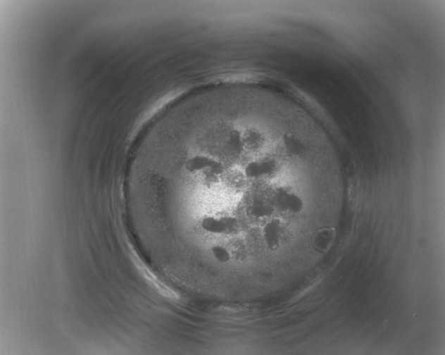 X0000081610725200701221201