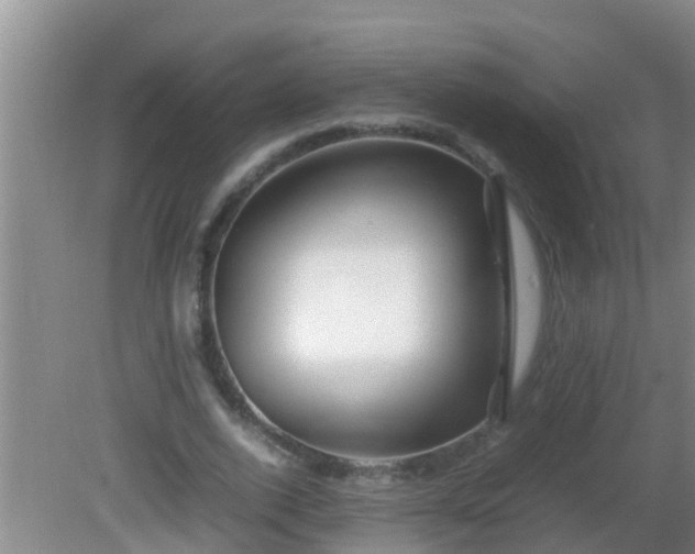 X0000081610728200701221201