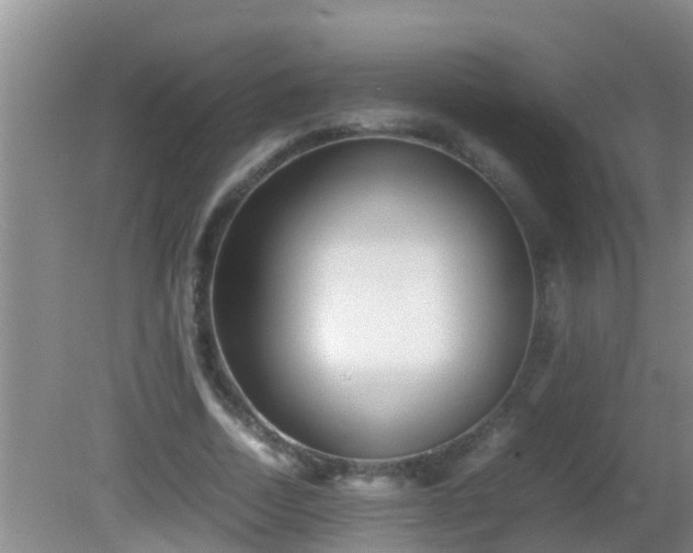 X0000081610730200701221201