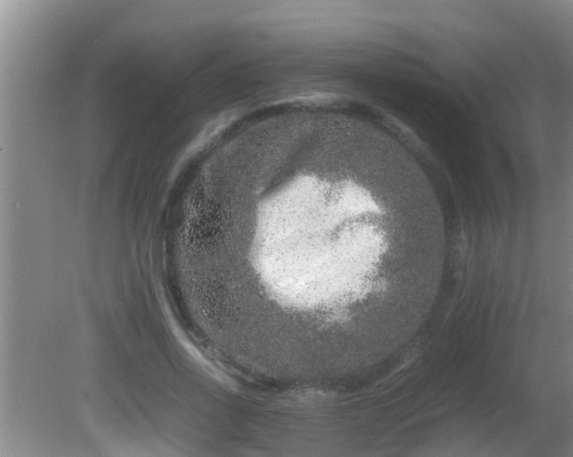 X0000081610734200701221201