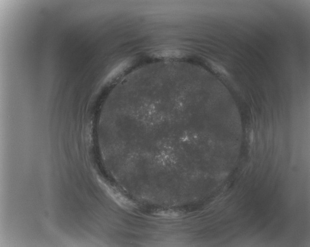 X0000081610735200701221201