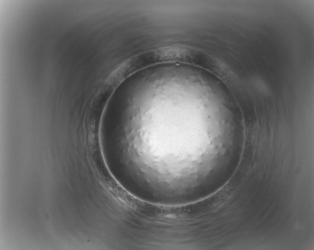 X0000081610737200701221201