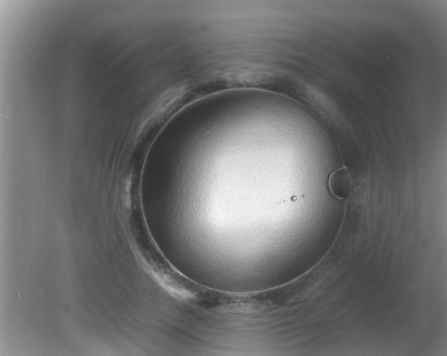 X0000081610738200701221201