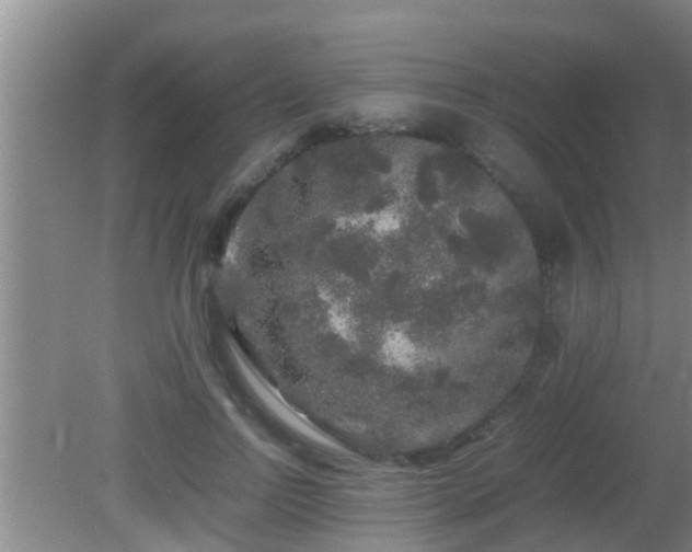 X0000081610742200701221202