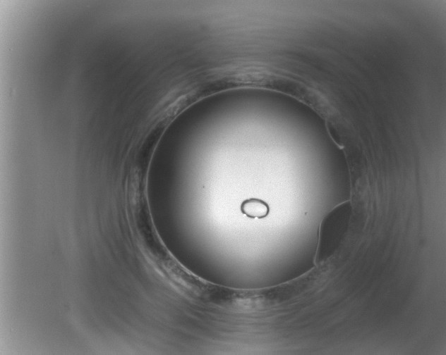 X0000081610744200701221202