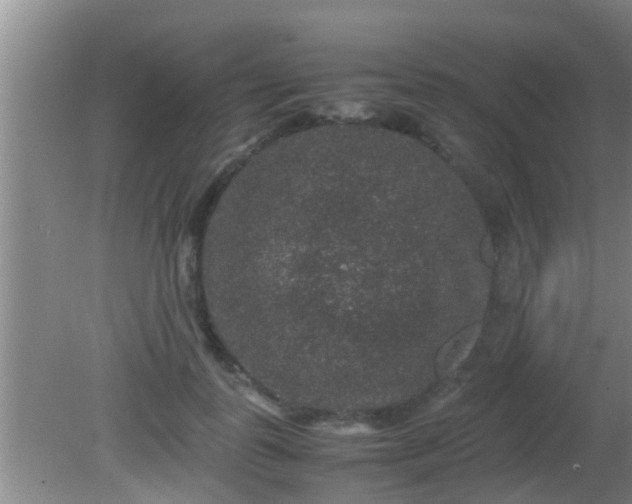 X0000081610747200701221202