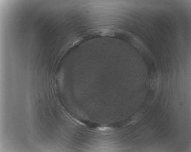 X0000081610748200701221202