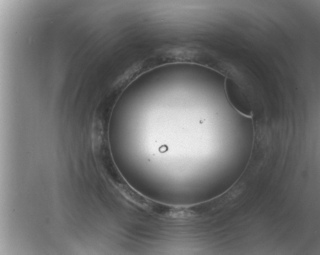 X0000081610752200701221202