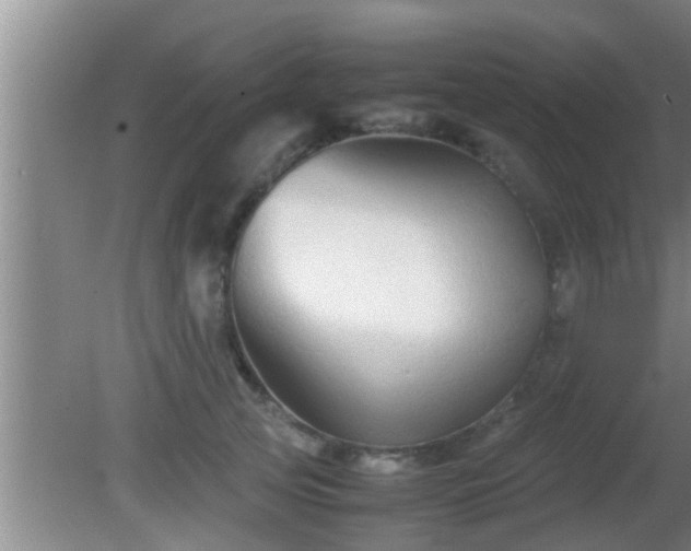 X0000081610753200701221202